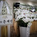 조화 이미지