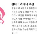판디스 이미지