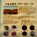 이삭피부나라 이미지