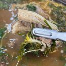 하남골 흑염소요리 전문점 | 흑염소맛집 찾다가 우연히 발견한 흑염소요리전문점 후기