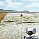 포전2농장 이미지