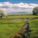 신뢰성 있는 사람 이미지