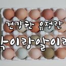 알이랑 건강 이미지