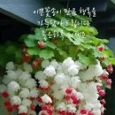 블루엠갤러리 이미지