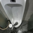 현대 정비센터 | 인천 남동공단 현대자동차 소변기 막힘 해결 후기