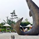아라여행 네이버블로그