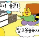 일레븐스트리트