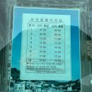산양초등학교곤리분교장 | 1박2일 통영 곤리도 여행 - 반려동물 동반, 배편, 아진민박(짱민박)
