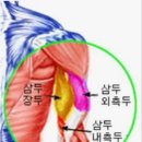 크림피트니스 이미지