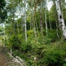 좌구산자연휴양림 이미지