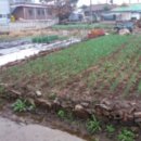 선주지동경로당 이미지