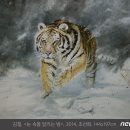 범