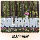 [10/25]가드닝 클래스 | 꽃과 함께한 강릉솔향수목원 가드닝 클래스