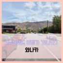 ㈜뉴부자관광 | 와나카] 와나카 - #여행 7일차 뉴질랜드 남섬 아름다운 작은 관광 도시 와나카 탐방기 솔직 리뷰 후기