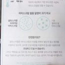 알래스카랩 이미지