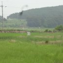 원산도공인중개사사무소 이미지