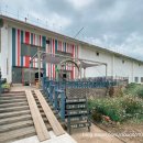 고구마 펙토리스토리 이미지