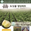 서송푸드 이미지