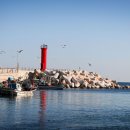 오징어이야기 이미지