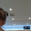 플룻 Daum카페