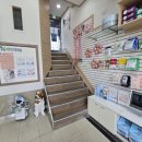 서초힐스동물병원 이미지