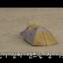텐트커피
