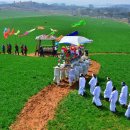 행렬농장 이미지