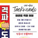 한양대박사비룡태권도 이미지