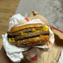 대오팜 | 2026 봄 일기