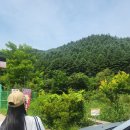 풍전가든 이미지