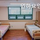 인하요양원