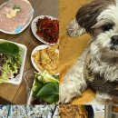 설빙대구 - 수성구 달구벌대로480길 29 | 설빙대구