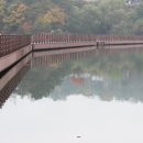 안동호반자연휴양림 이미지