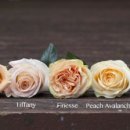 엠앤제이 이미지