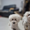 블루핑거(주) 이미지