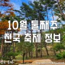 브라소닛 빅밴드 Bmk콘서트 공연 | 전국 축제൱ 2023년 10월 둘째주 전국 지역 축제 일정 안내