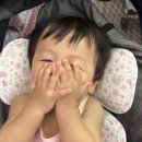 베베클리너 이미지