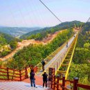 성산구 ⓒ-31 | 5월 황금 연휴 국내 여행지 추천 서울 근교 강원도 원주 :소금산 그랜드밸리, 동화마을수목원