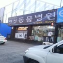 어정동물병원 이미지