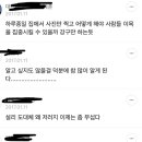 최전방에서 설리 악플 달았던 이곳에서 설리 sns 동기화 하지 않았으면 하는 글 이미지