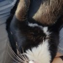 구례축협하나로마트 이미지