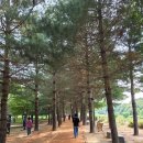 황토발 - 밀양시 중앙로 335-1 | 예산 힐링여행 덕산온천족욕장, 황토길 솔직후기