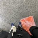애드창창