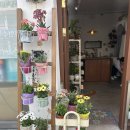 온실Flowerstudio