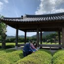 보성백록다원 이미지