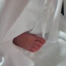 조곰한케이크 이미지