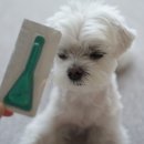 자연은 동물병원 이미지