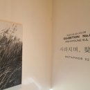 메타포32 이미지