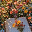 부자집 - 서산시 | 부자집