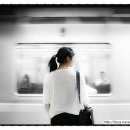 수시코스 이미지